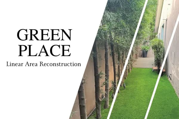 Water and Light Garden Study gallery image 4