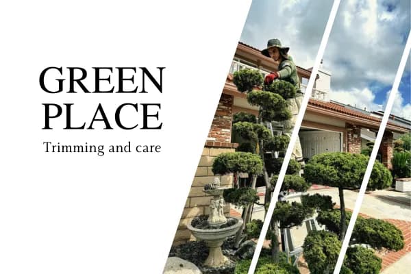 City Green Boulevard gallery image 3