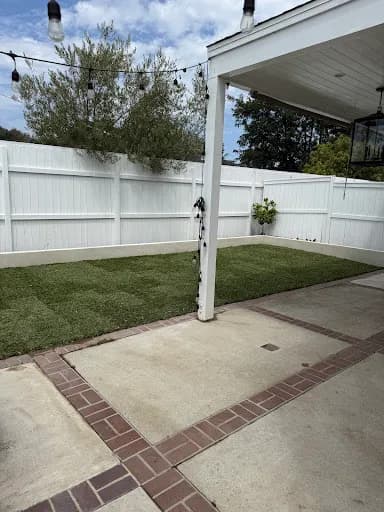 Bonsai Trimming and Care